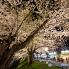 夜桜と露店