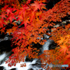 紅葉と清流