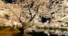 弘前の夜桜（再編集）