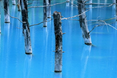 青い池の思い出