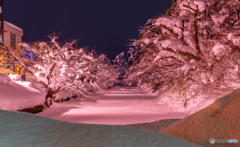 冬の弘前公園外濠-Ⅰ