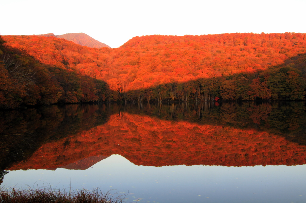 蔦沼の紅葉2014-3