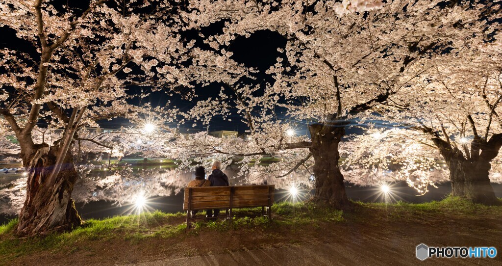 弘前公園の夜-Ⅷ