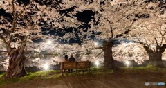 弘前公園の夜-Ⅷ