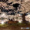 弘前公園の夜-Ⅷ