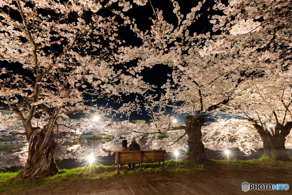 弘前公園の夜–Ⅲ