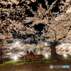 弘前公園の夜–Ⅲ