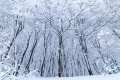 2月の八甲田にて