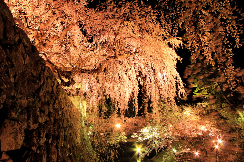 弘前公園にてーⅢ