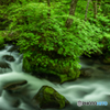 新緑の奥入瀬渓流-Ⅲ