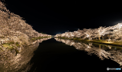 弘前公園の夜-14