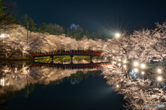 弘前公園の夜₋Ⅱ