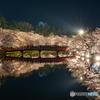 弘前公園の夜₋Ⅱ