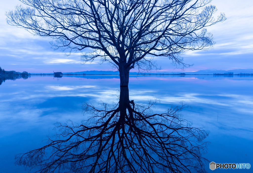 reflection2019