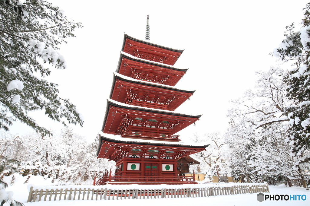 １月の最勝院五重塔