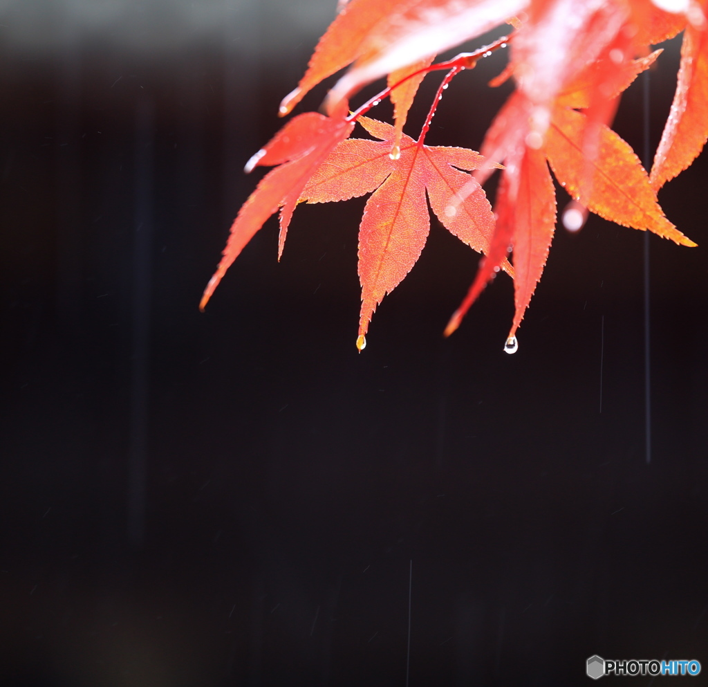 天気雨。