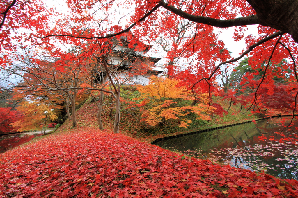 弘前公園にて