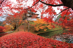 弘前公園にて