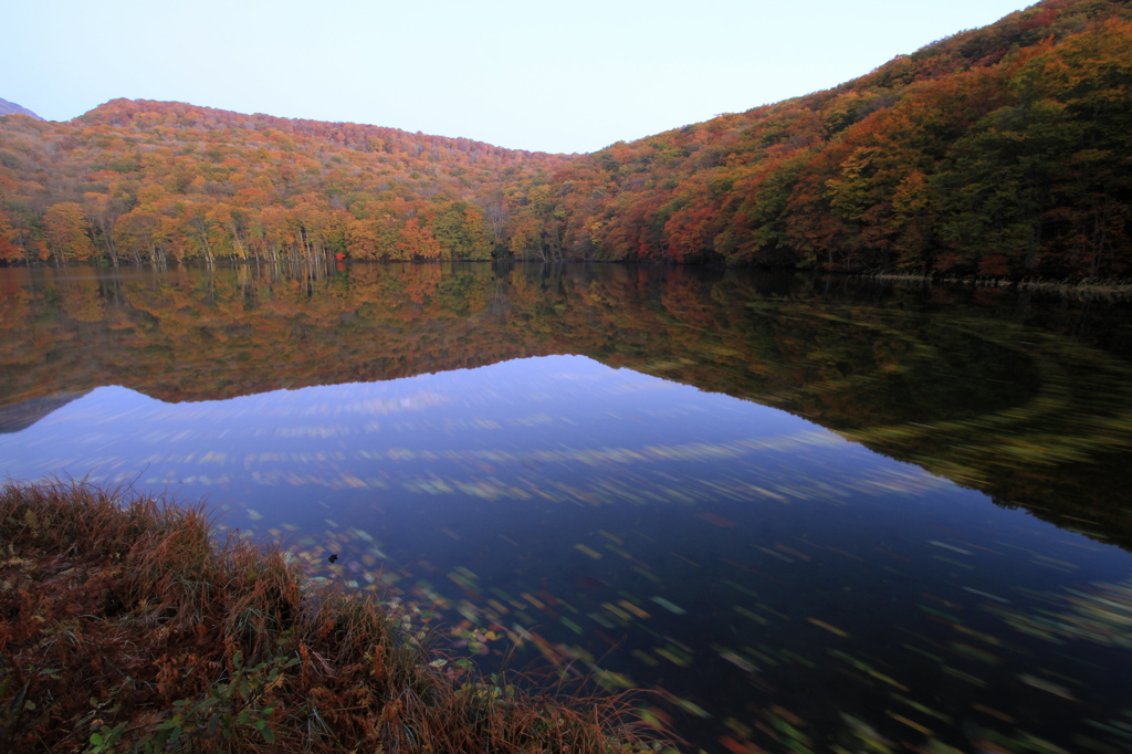 蔦沼の紅葉2014-1