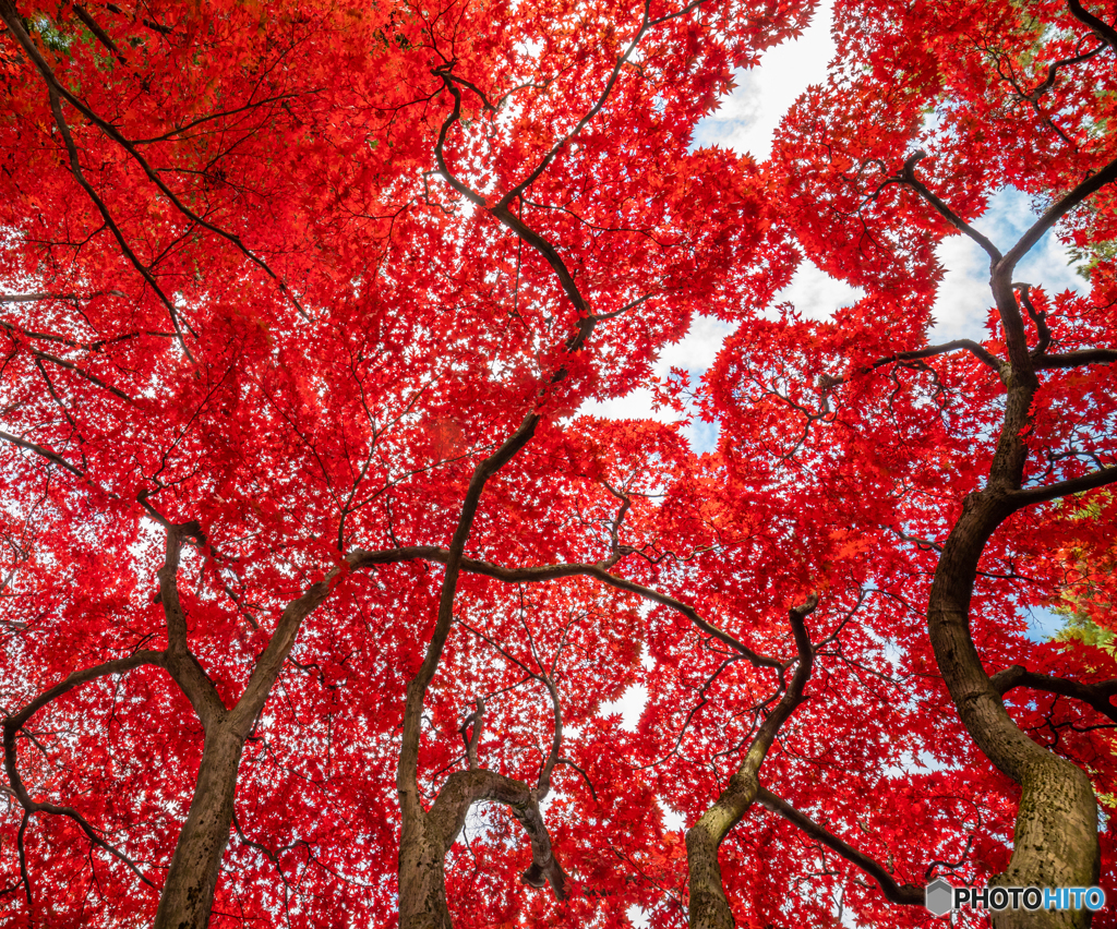 弘前公園にて