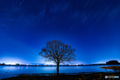 星降る津軽富士見湖