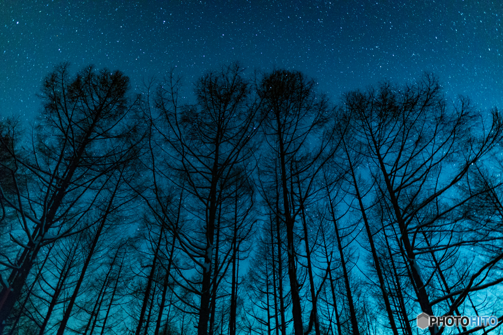 静寂の夜から朝へ