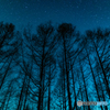 静寂の夜から朝へ
