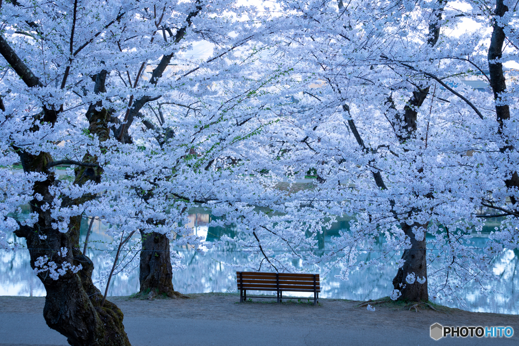 静寂の弘前公園-Ⅷ