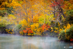 酸ヶ湯の秋模様-Ⅲ