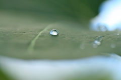 接触角50°