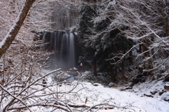 winter falls