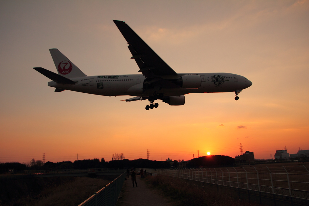 飛行機と夕空のコラボレーション