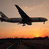 飛行機と夕空のコラボレーション