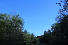 Blue sky～雲場池～