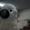 上を向いて生きていこう
