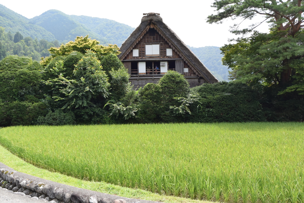 合掌造り