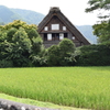 合掌造り