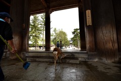 大仏殿入口にて