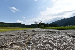 夏の鳥居