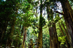 高野山