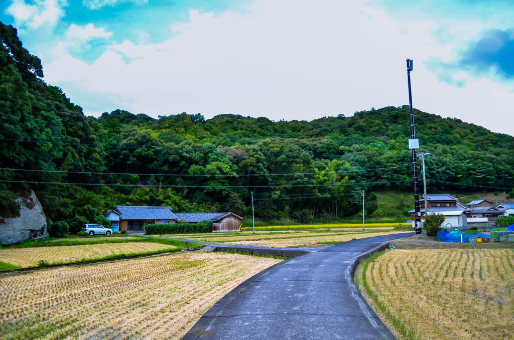 田舎道