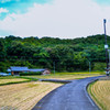 田舎道