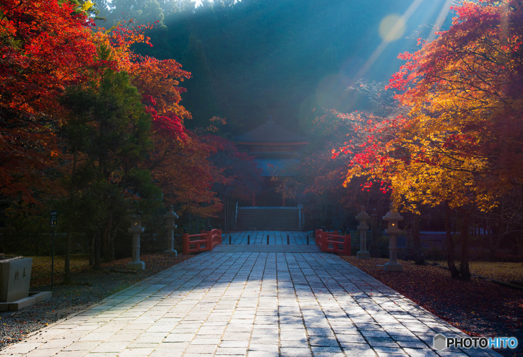 朝の高野