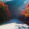 朝の高野