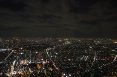 東京の光