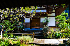 離れ