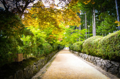 参道