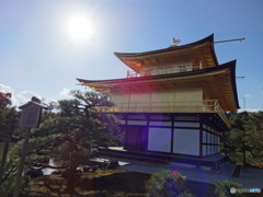 鳳凰４ 仲間を見つけて