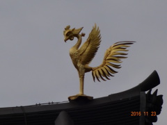 鳳凰 右　平等院にて