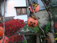 ハロウィン？